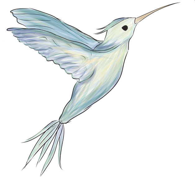 Beija-flor Hummingbird Illustration